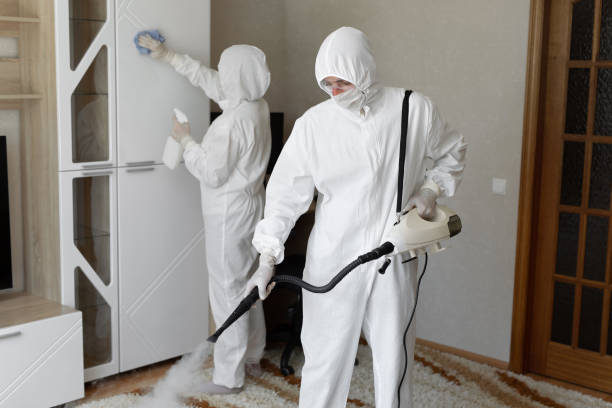 Best Toxic Mold Removal  in Holualoa, HI
