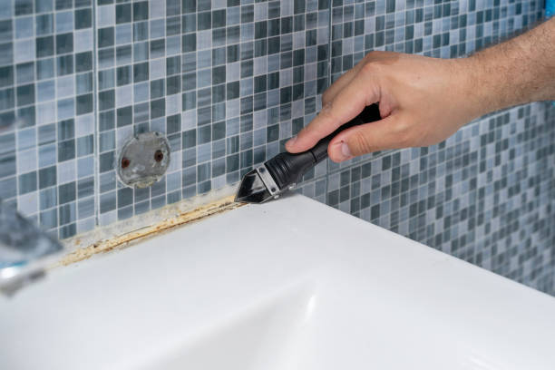 Best Emergency Mold Removal  in Holualoa, HI